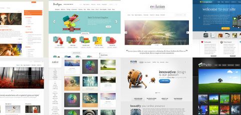 Auction Software Themes