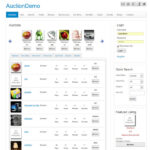 Auction Software 2.5